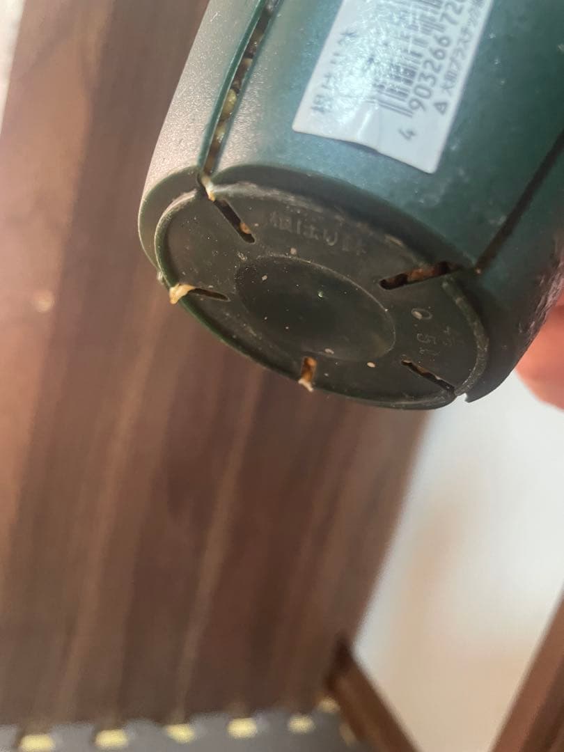 ※*t様 ユーフォルビアムランジーナ　現地株　発根済み