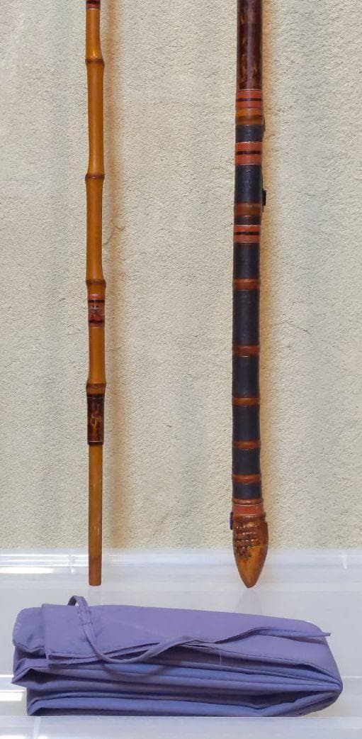 d411115胴突 2.8袋 紫 津軽