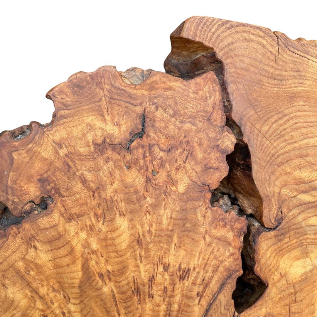 座卓　バール杢 ポプラ 一枚板 無垢材 瘤杢 チギリ ダイニングテーブル 希少