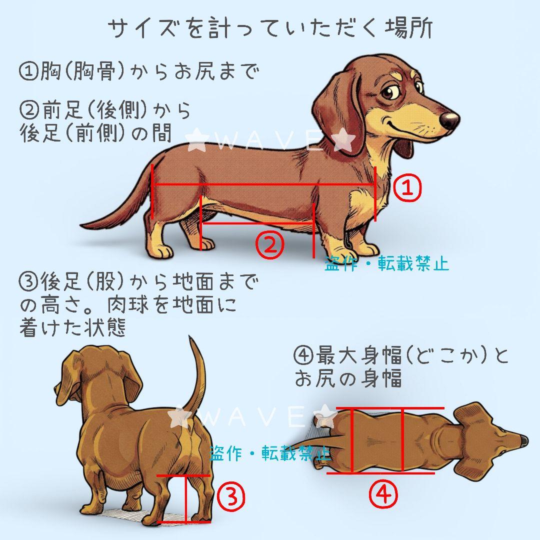 犬用車椅子　犬の歩行器　リハビリ用車いす　歩行補助　犬の車いす　ハーネス 組立式
