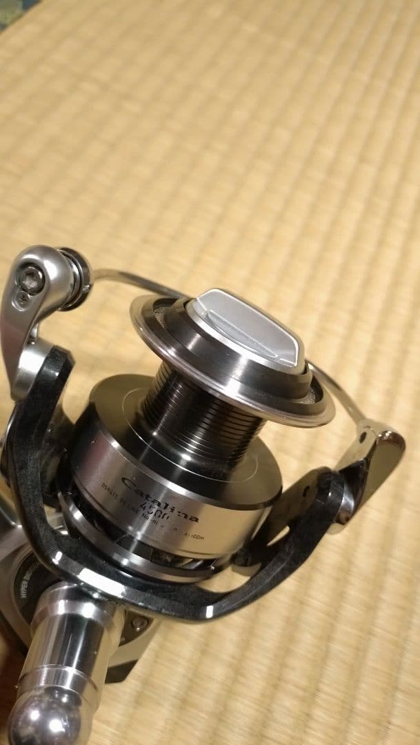 ダイワ 12キャタリナ 4500