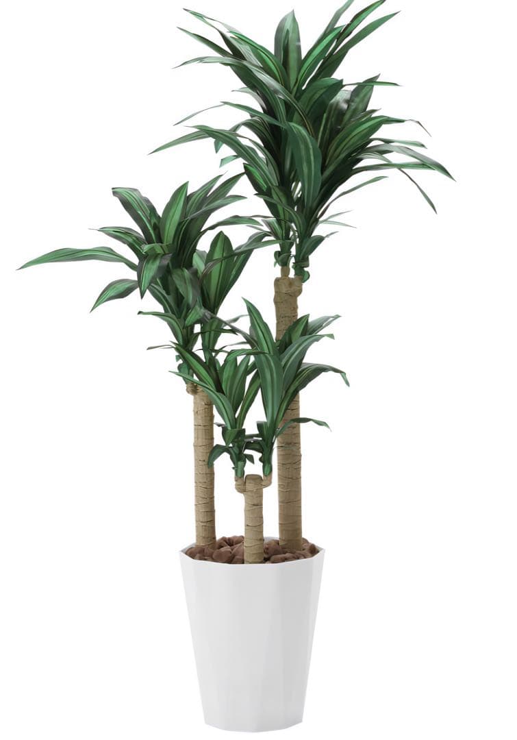 光触媒　人工観葉植物　ウォールグリーン　フェイクグリーン　幸福の木1.6