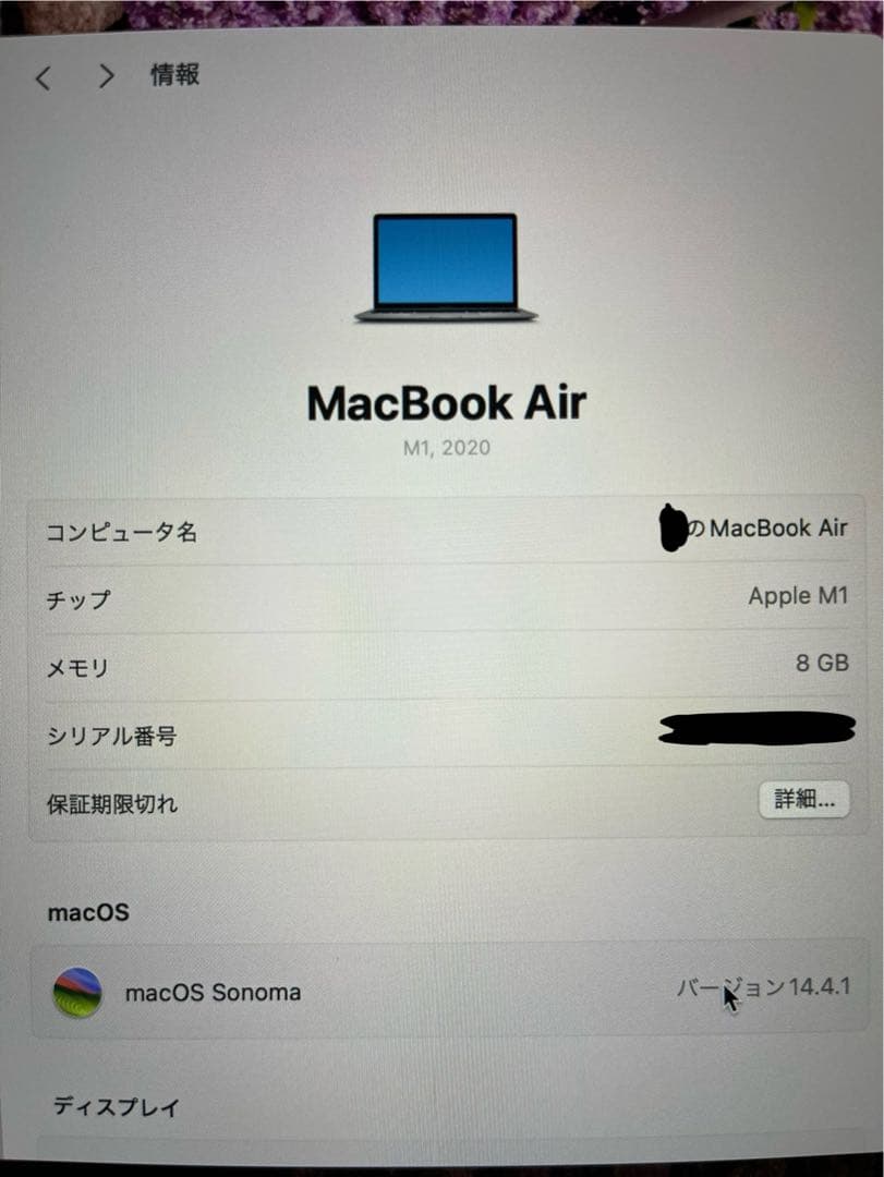【極美品】Apple MacBook Air 8GBメモリ 256GBSSD