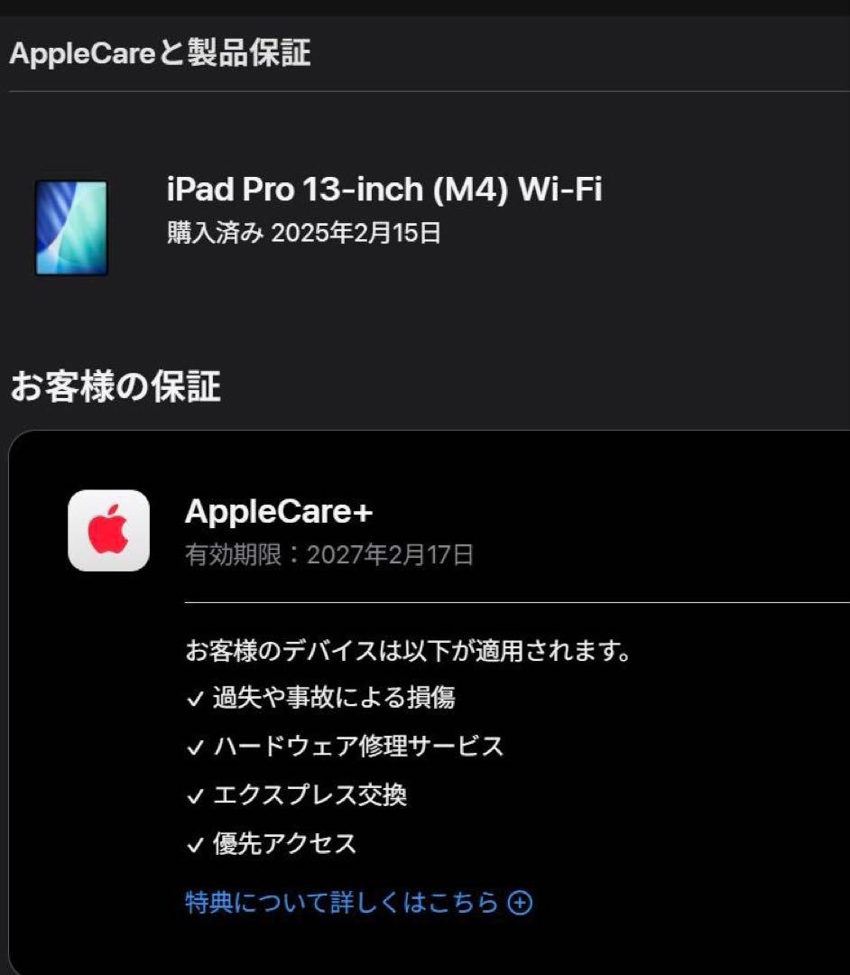 Apple 13インチiPad Pro(M4)