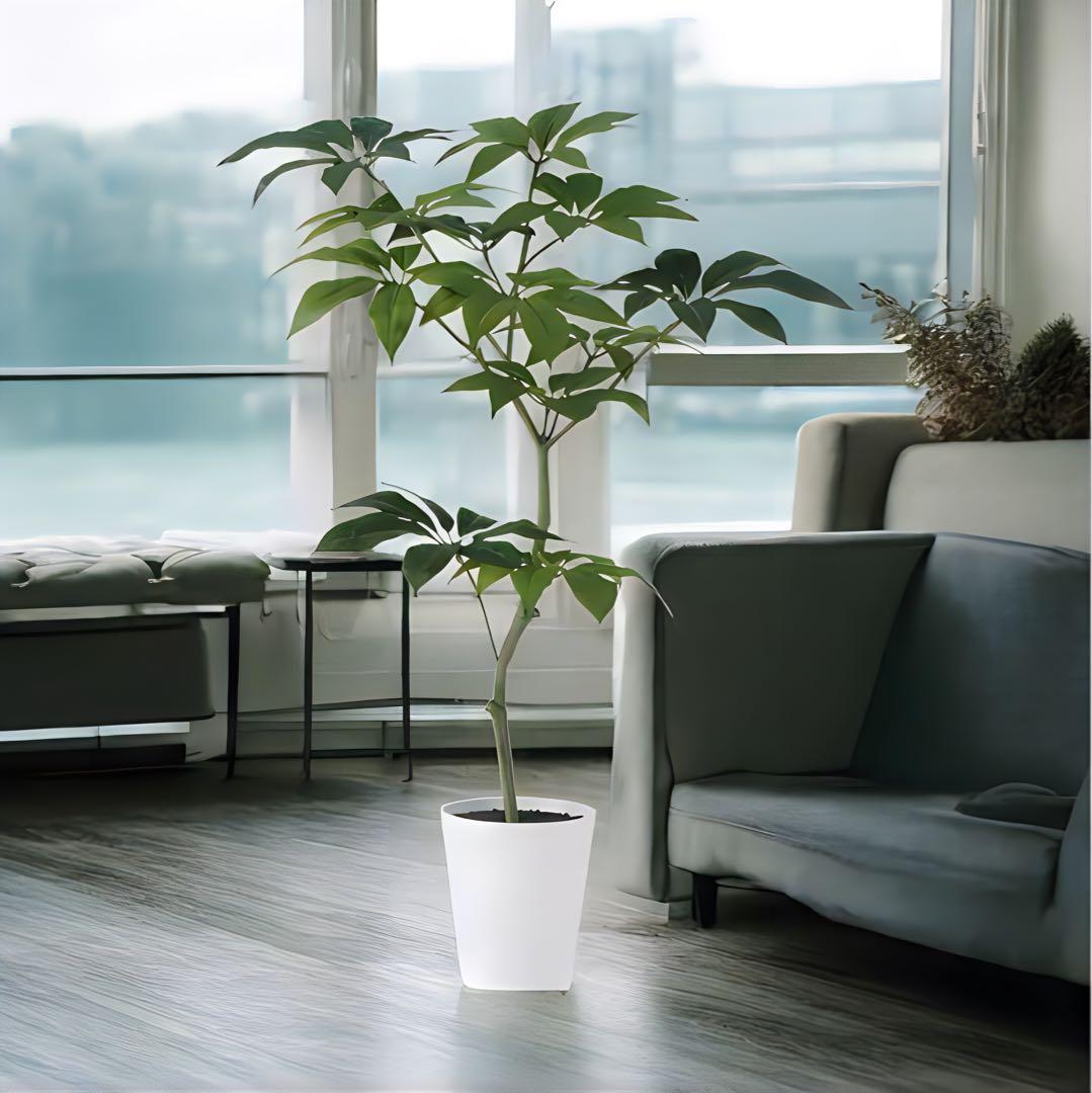 光触媒　人工観葉植物　ウォールグリーン　フェイクグリーン　ツピダンサス150