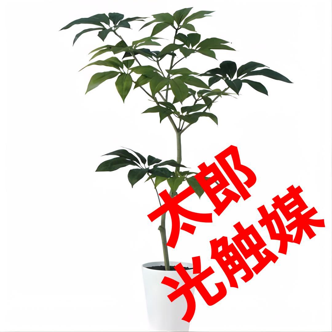 光触媒　人工観葉植物　ウォールグリーン　フェイクグリーン　ツピダンサス150