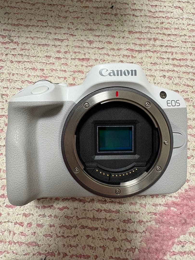 Canon EOS R50 ホワイト 2セットレンズ付きSDカード付き