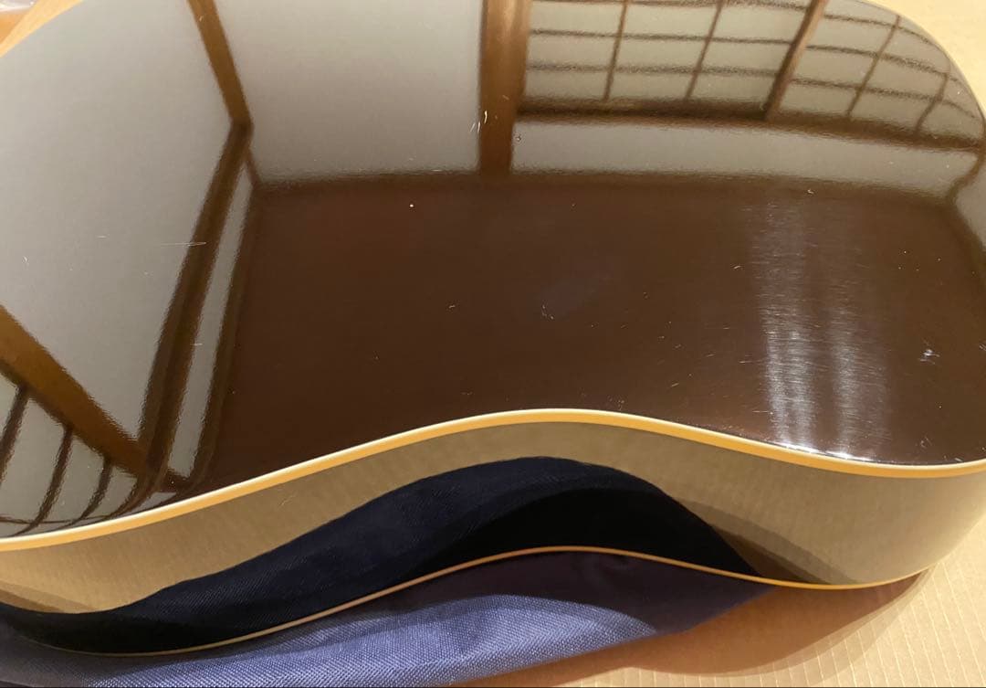 Epiphone DR-100 EB エボニー 純正ケース付
