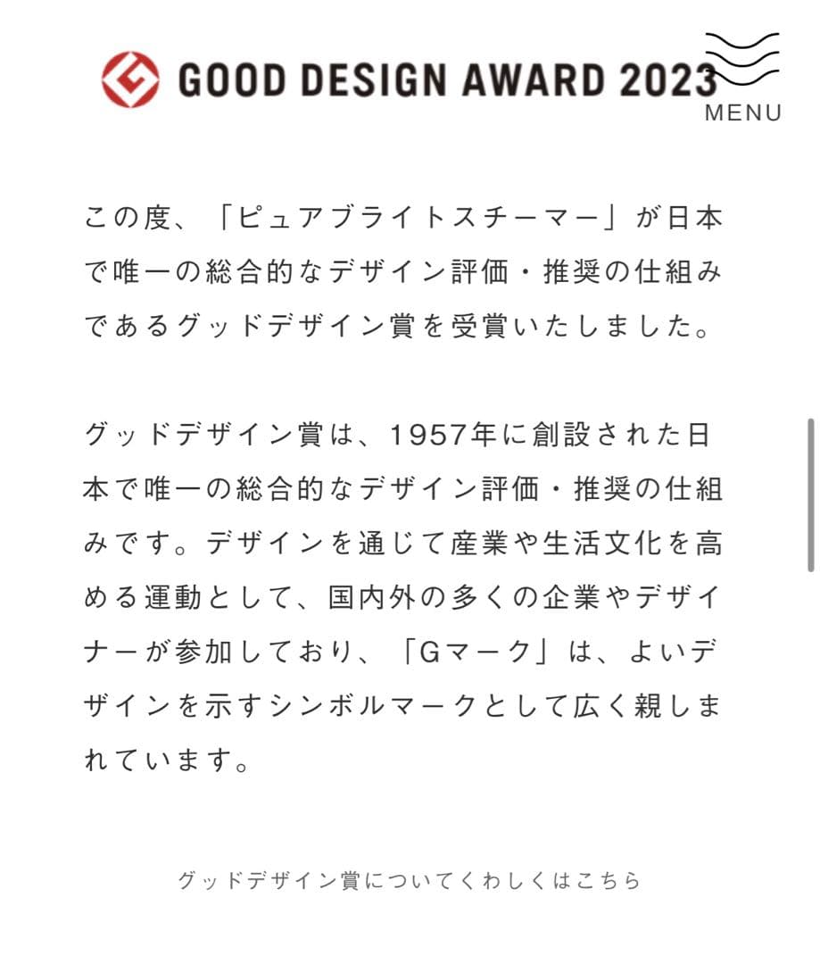 SALONIA PURE BRIGHT STEAMER グレー