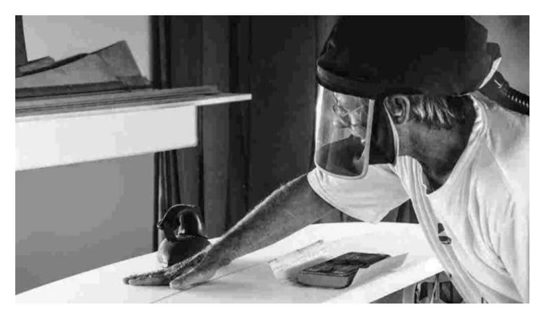 【希少】Harley Ingleby Shape QF 5.10