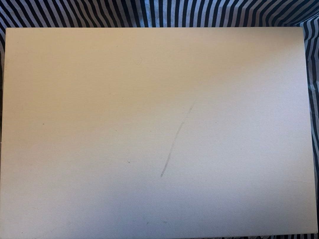 27◆MISS BLUE・PET 白雪姫　ミスブルー　ペット　お洋服