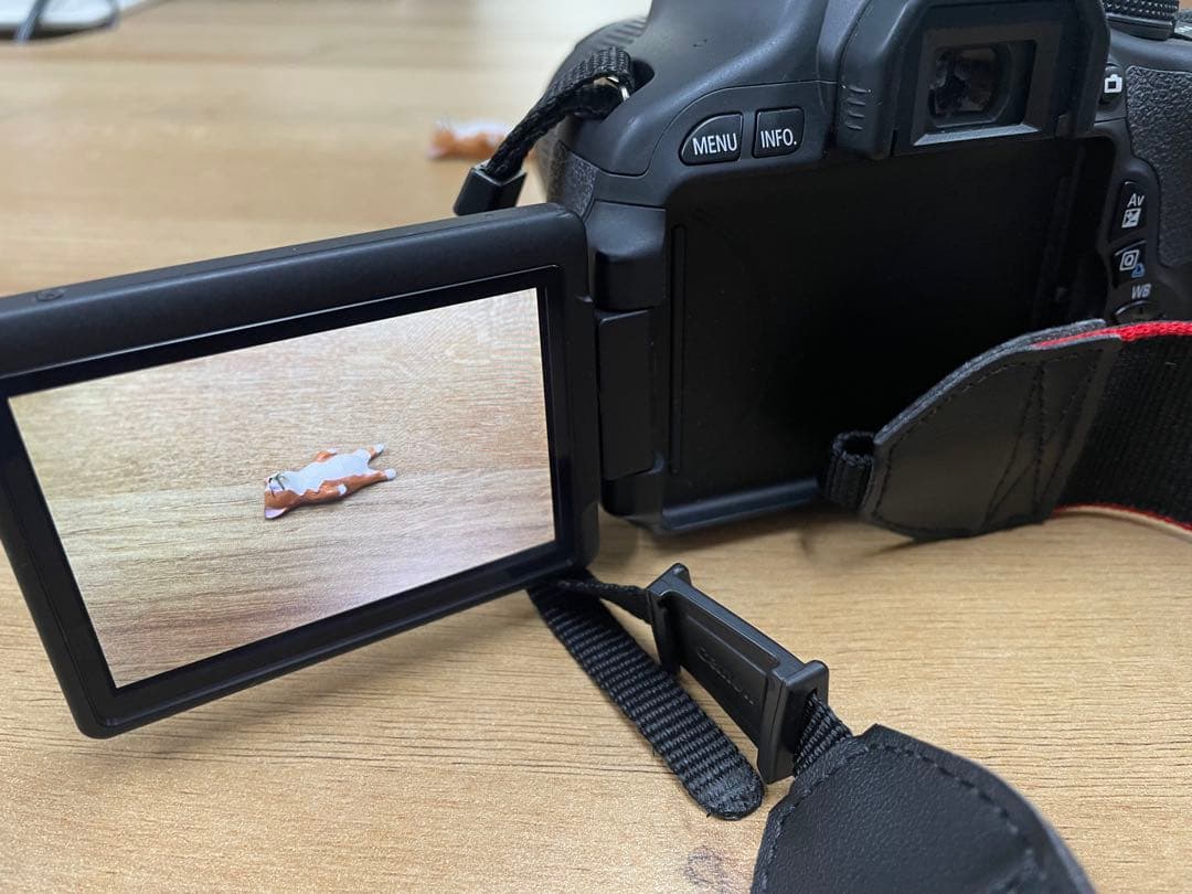 Canon DS126311 一眼レフカメラ