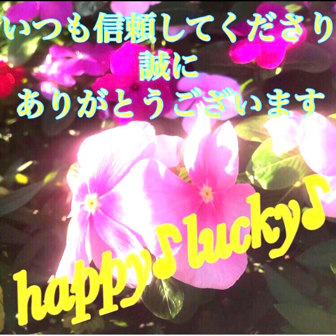 秘符(中松屋)家相　地相　土地　邪気　悪霊　生き霊　護符　霊符　お守り