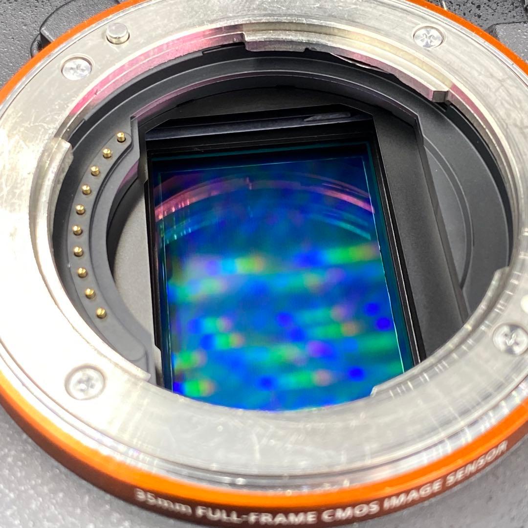 SONY A7R II モノクロ専用機＋レンズセット モノクローム