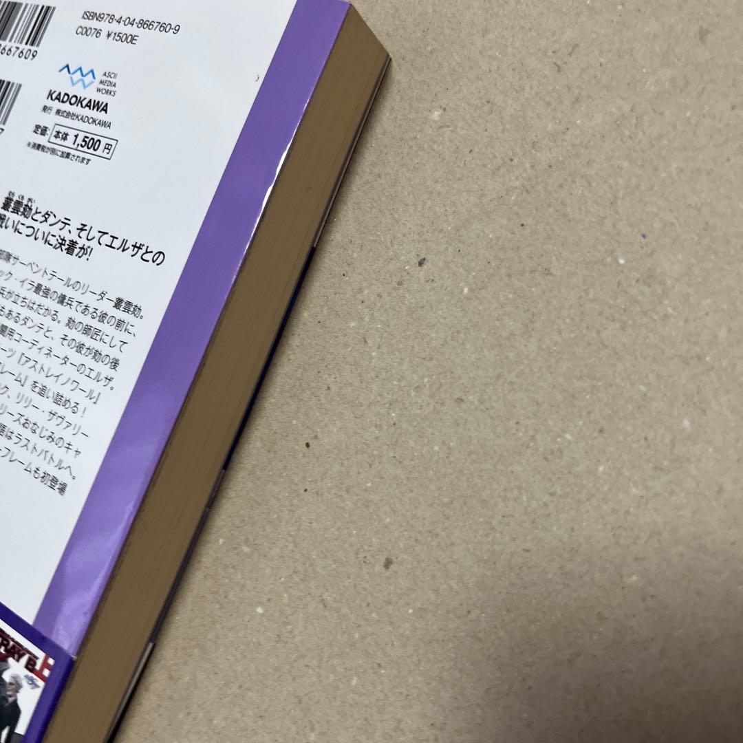 機動戦士ガンダムSEED DESTINY ASTRAY B 初版上下巻セット