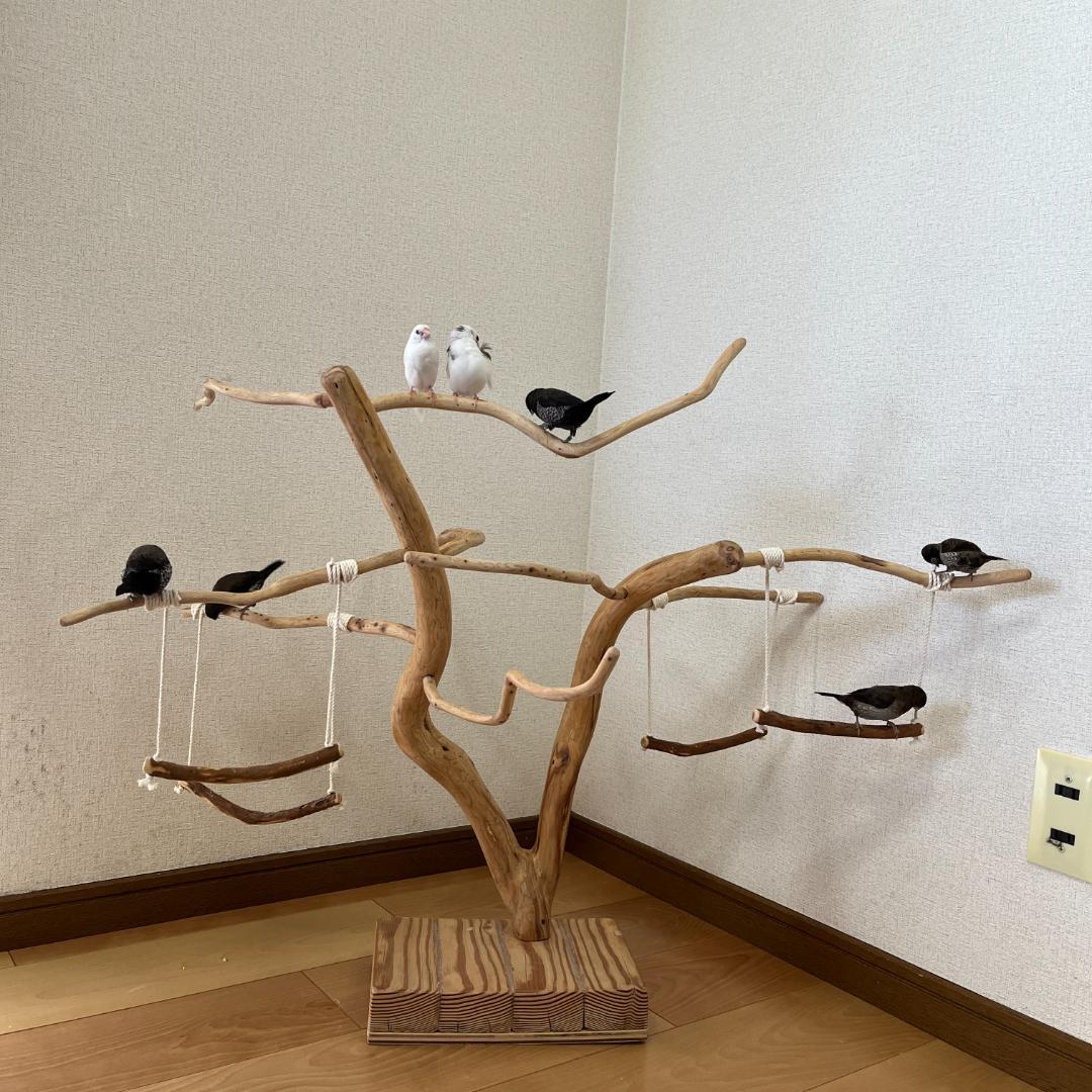 【小鳥用】ブランコ付くねくねバードアスレチック