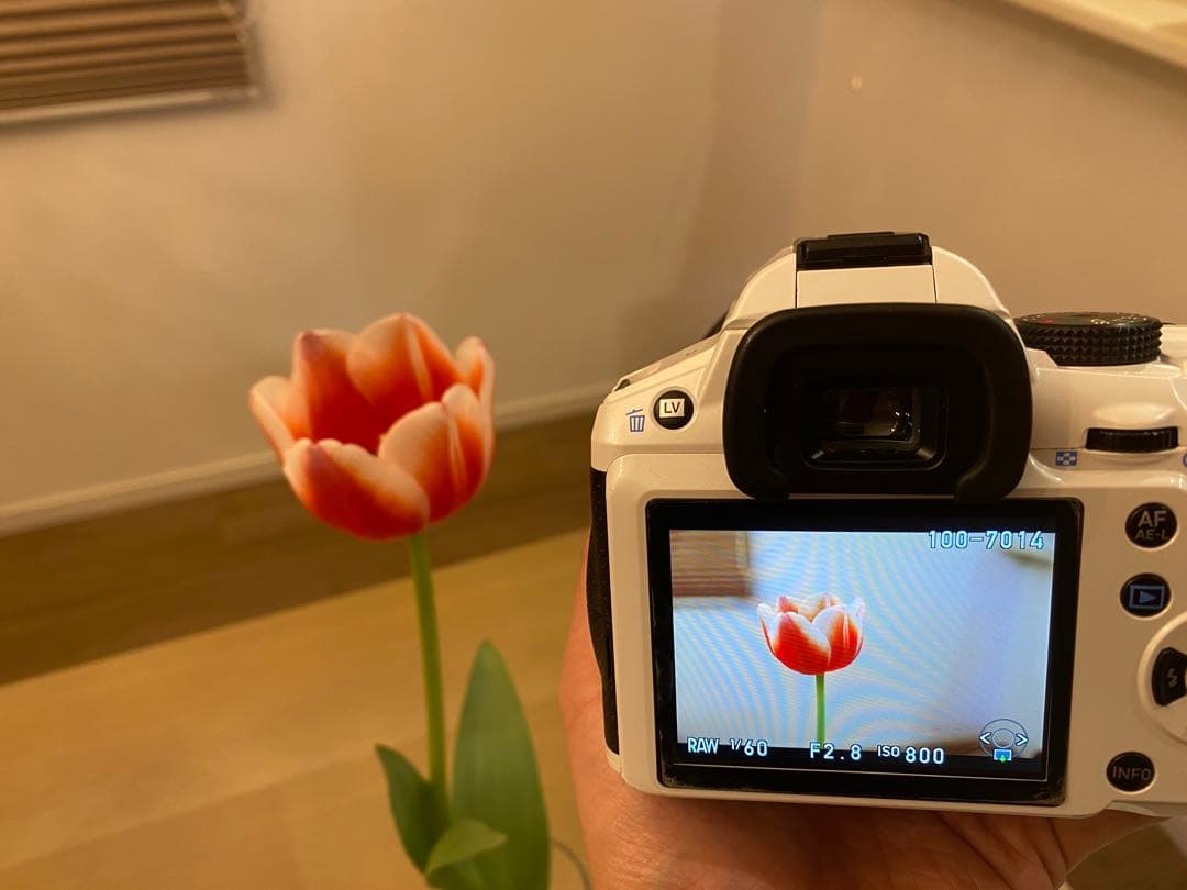 【AF動作問題あり】16-50mm F2.8 PENTAX ズームレンズ