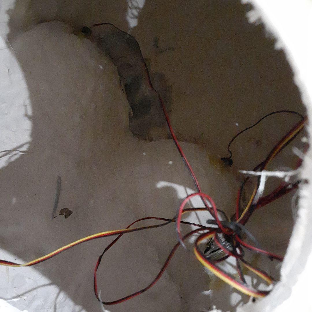 【BIGサイズ/スカル】商品番号230