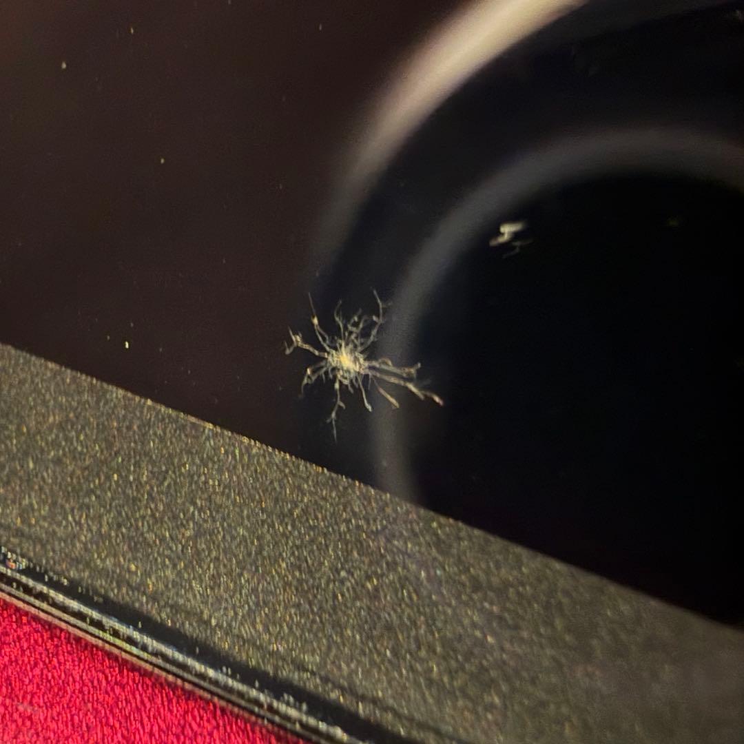 Panasonic LUMIX デジタルカメラ バイオレッド　DMC-FX60