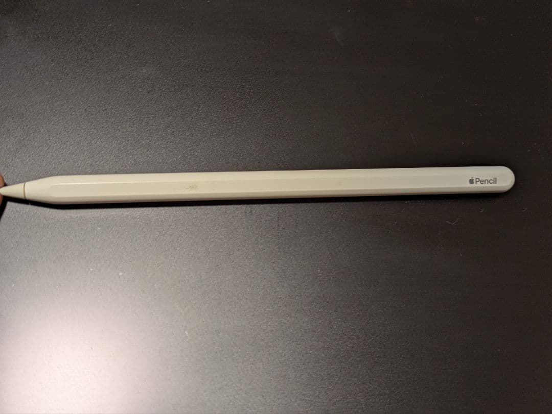 【ジャンク】iPad pro 第3世代 12.9インチ 充電に難アリ