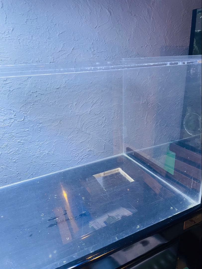 コイ　120cm マーフィード　ウッドキャビ