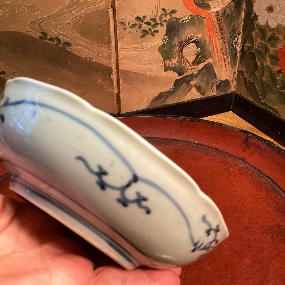 A995❶古伊万里　染付（柿右衛門）花唐草　見込栗紋様　輪花型　膾皿　1枚