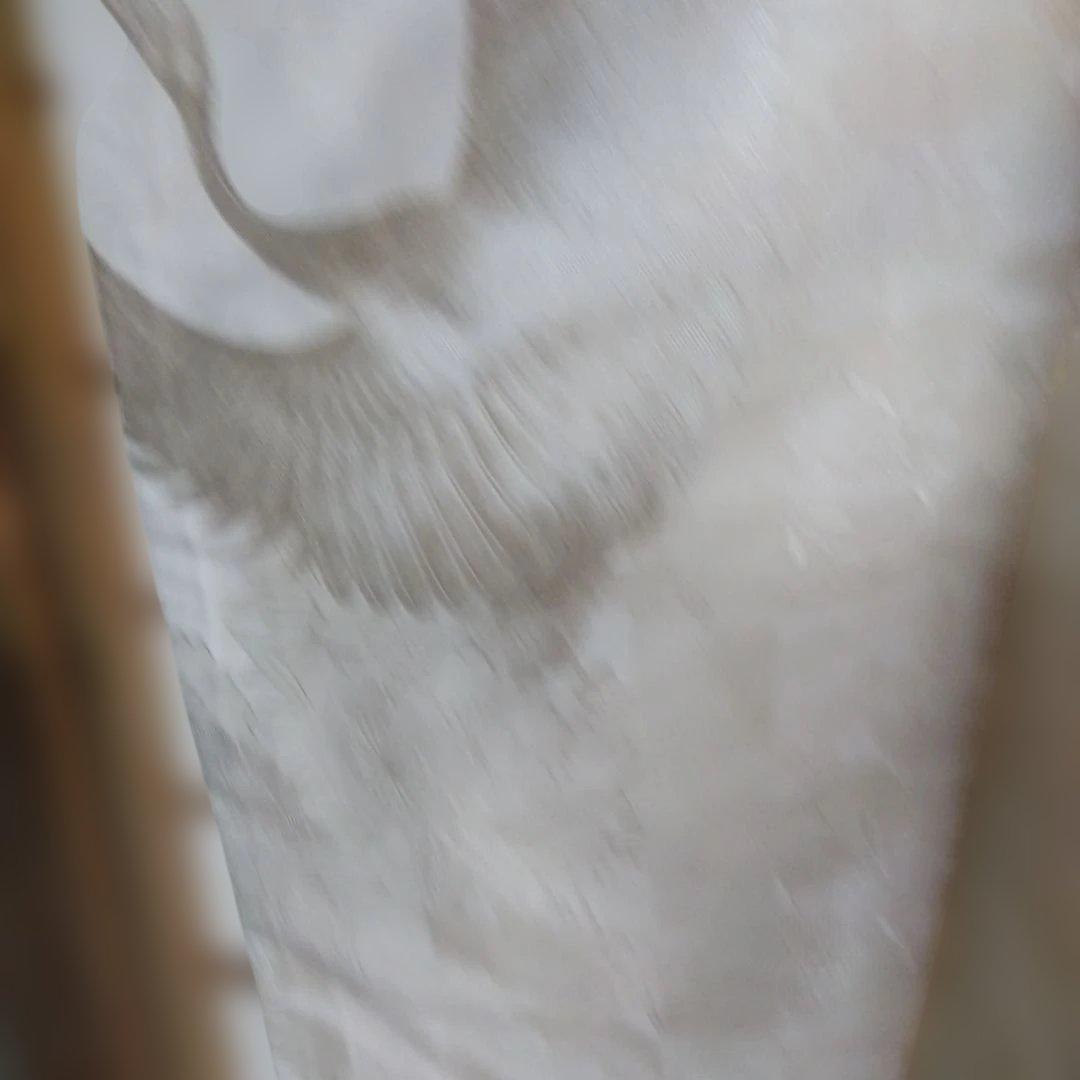 白打掛です