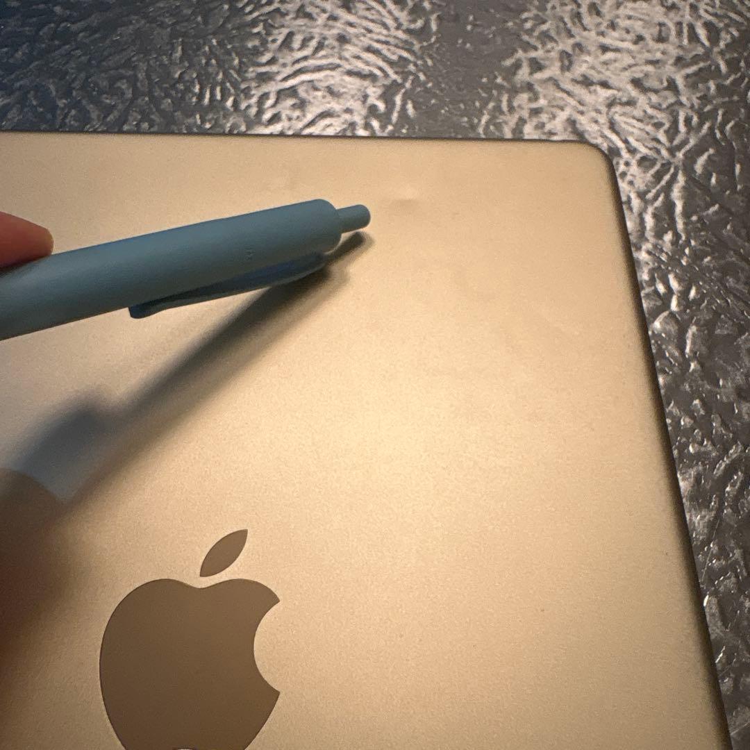 Apple iPad 本体