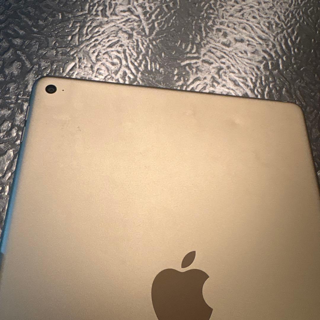 Apple iPad 本体