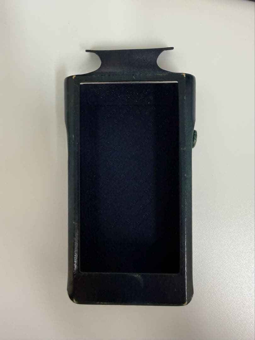 ポータブルプレーヤー Sony NW-WM1z