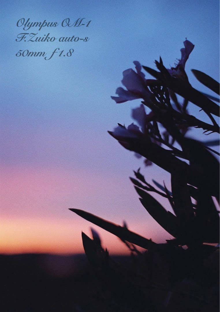 ★完動品＊美品＊初期保証★OM-1 ★グリーンリザード外装★作例必見！