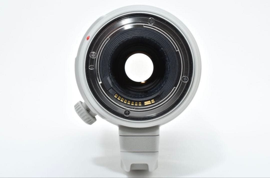 極美品Canon EF100-400mm f4.5-5.6L IS Ⅱ USM