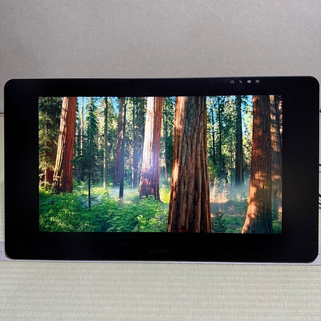 【美品】Wacom Cintiq Pro 24 ペンモデル DTK-2420