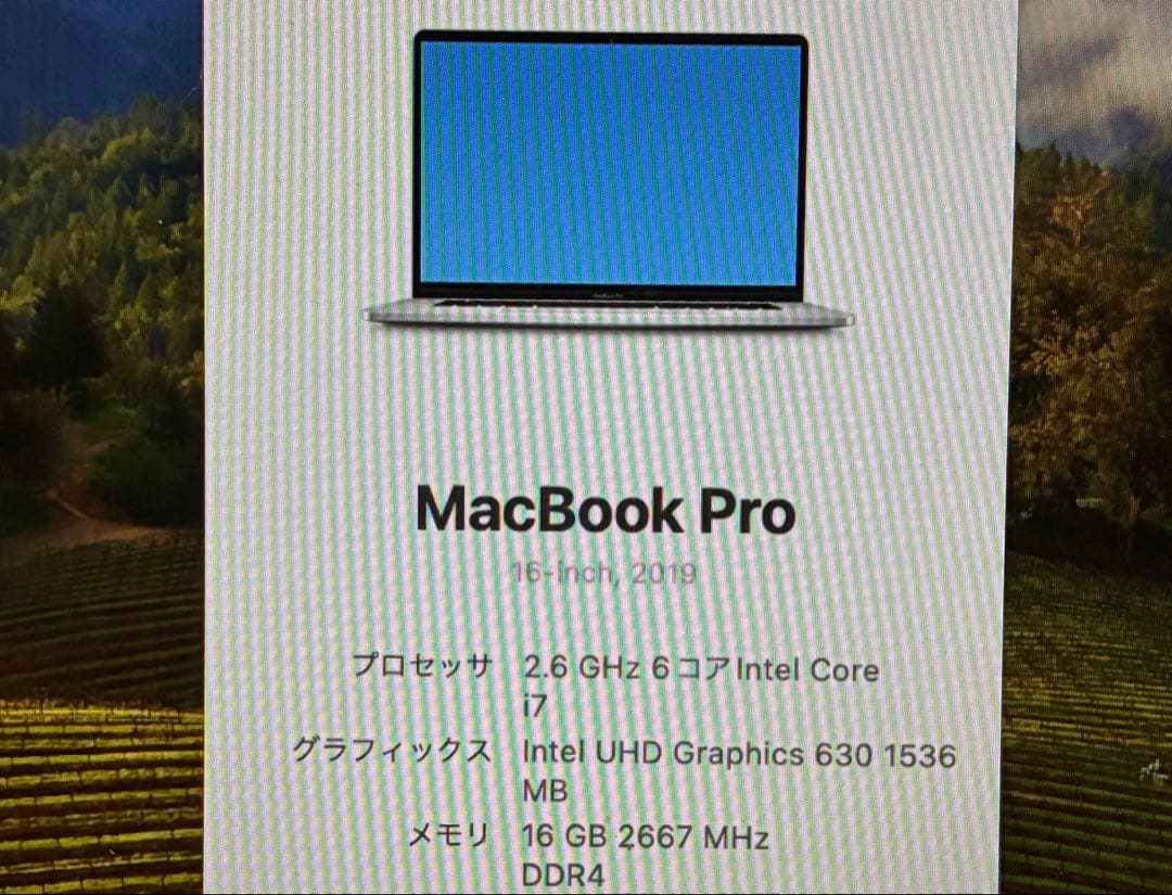 MacBook本体 MacBook Pro 16 late 2019 i7/16GB/1TB