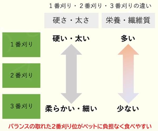カナダ産 チモシー 60kg スーパープレミアム １番刈り