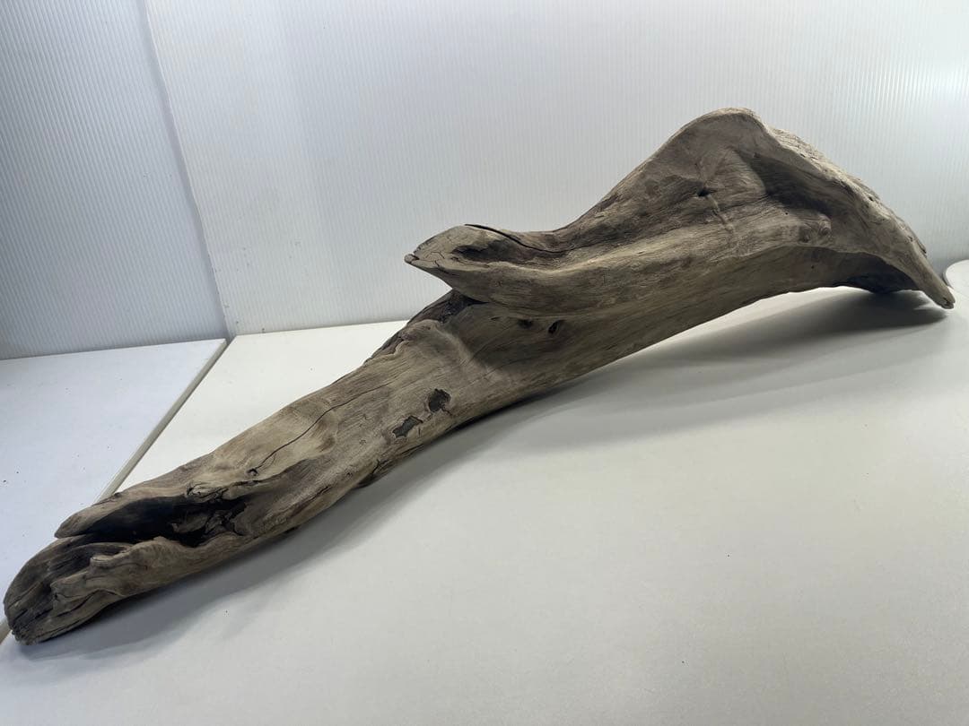 V84特大流木 アク抜き済み流木 爬虫類シェルター 登り木 インテリア 生け花