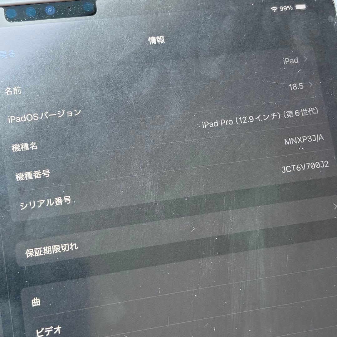 極美品iPad Pro 12.9インチ 第6世代 カバー フィルム付き グレー
