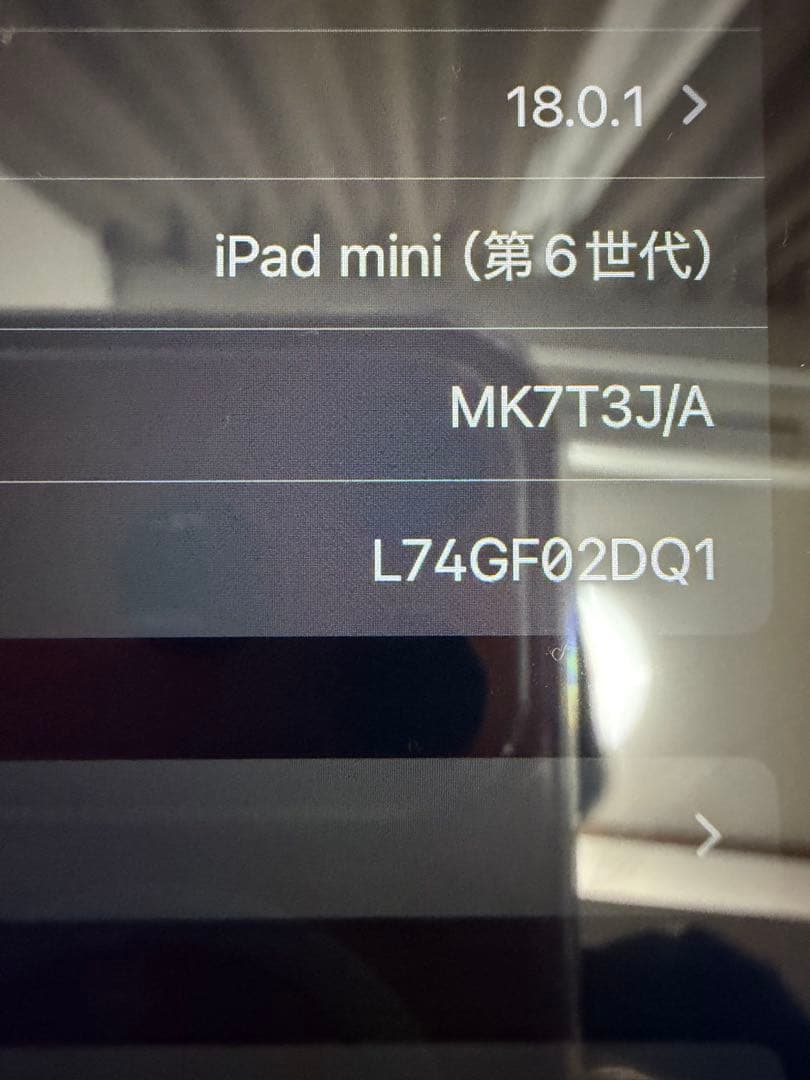 チ*グ様 アップル iPad mini 第6世代 WiFi 256GB他おまけ多
