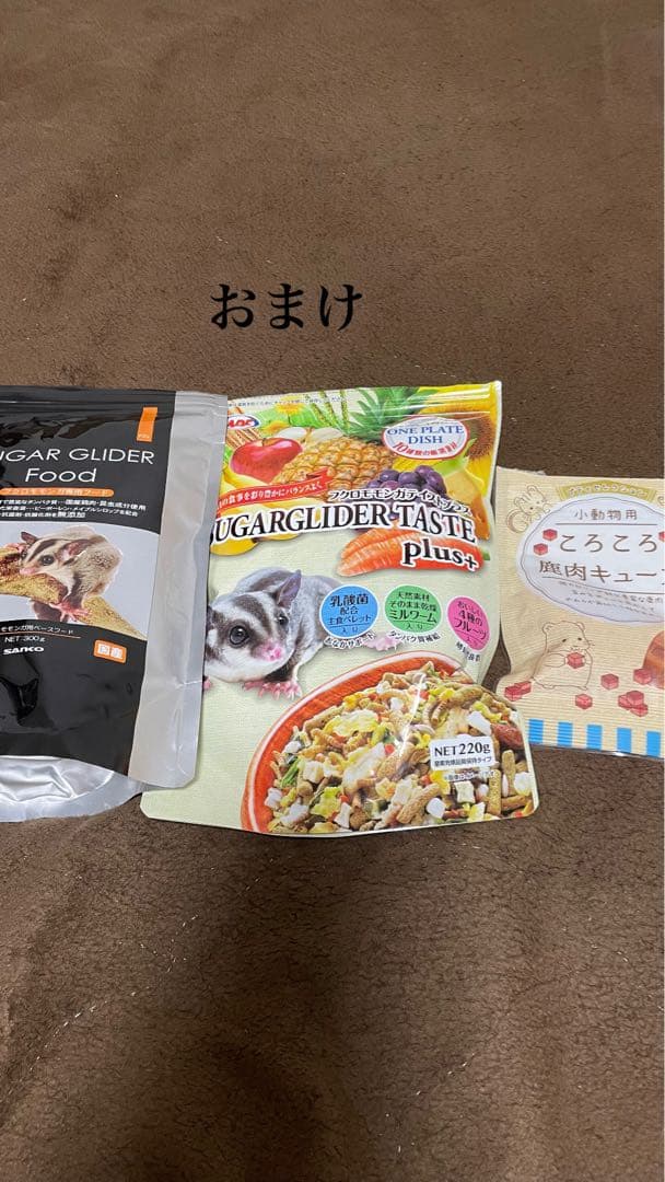 GEX ジェックス アクリルケージ フクロモモンガ アクリルルーム