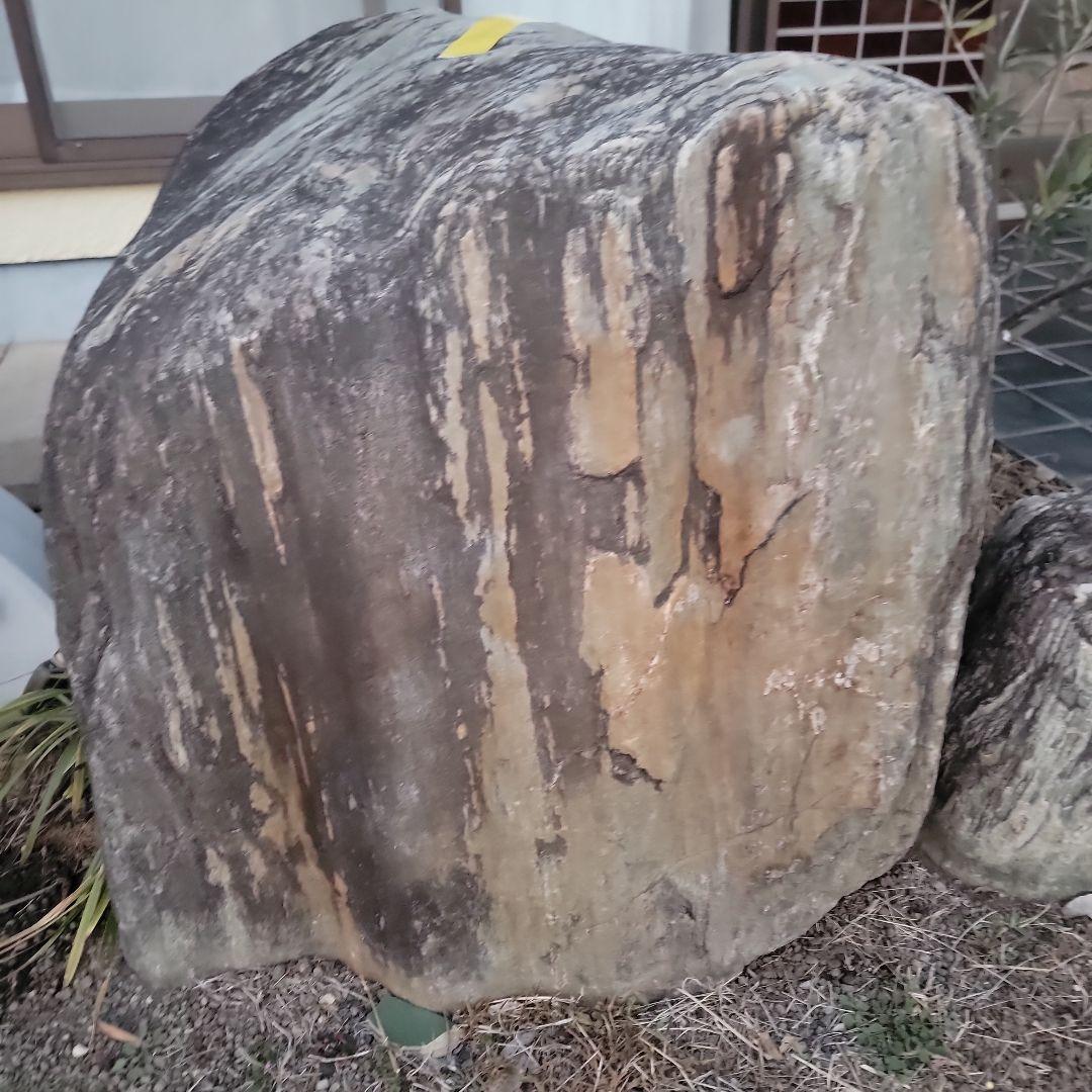 庭 鑑賞用 石 庭園
