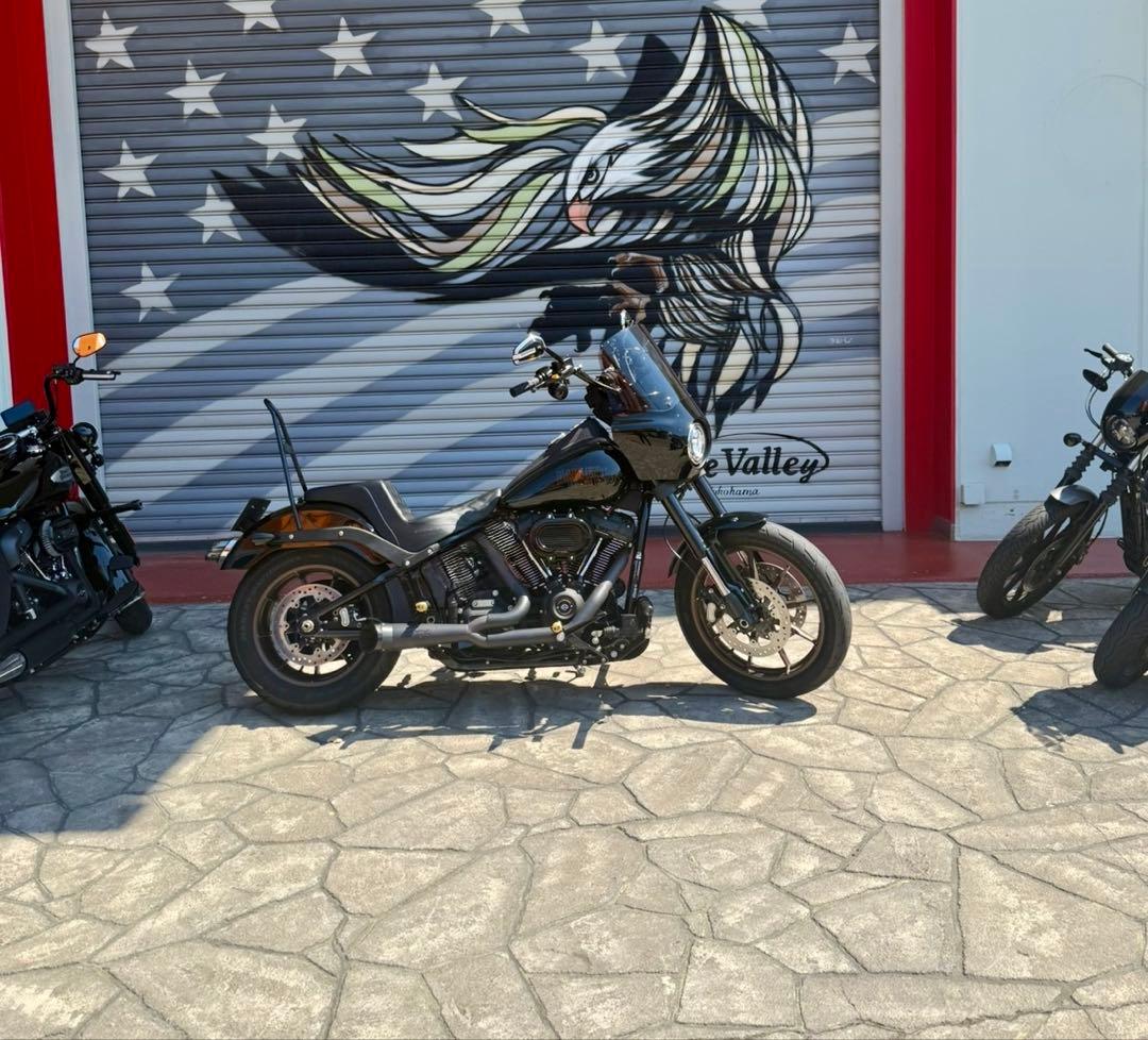 ハーレー用 TBR ショーティターンアウトマフラー 2in1