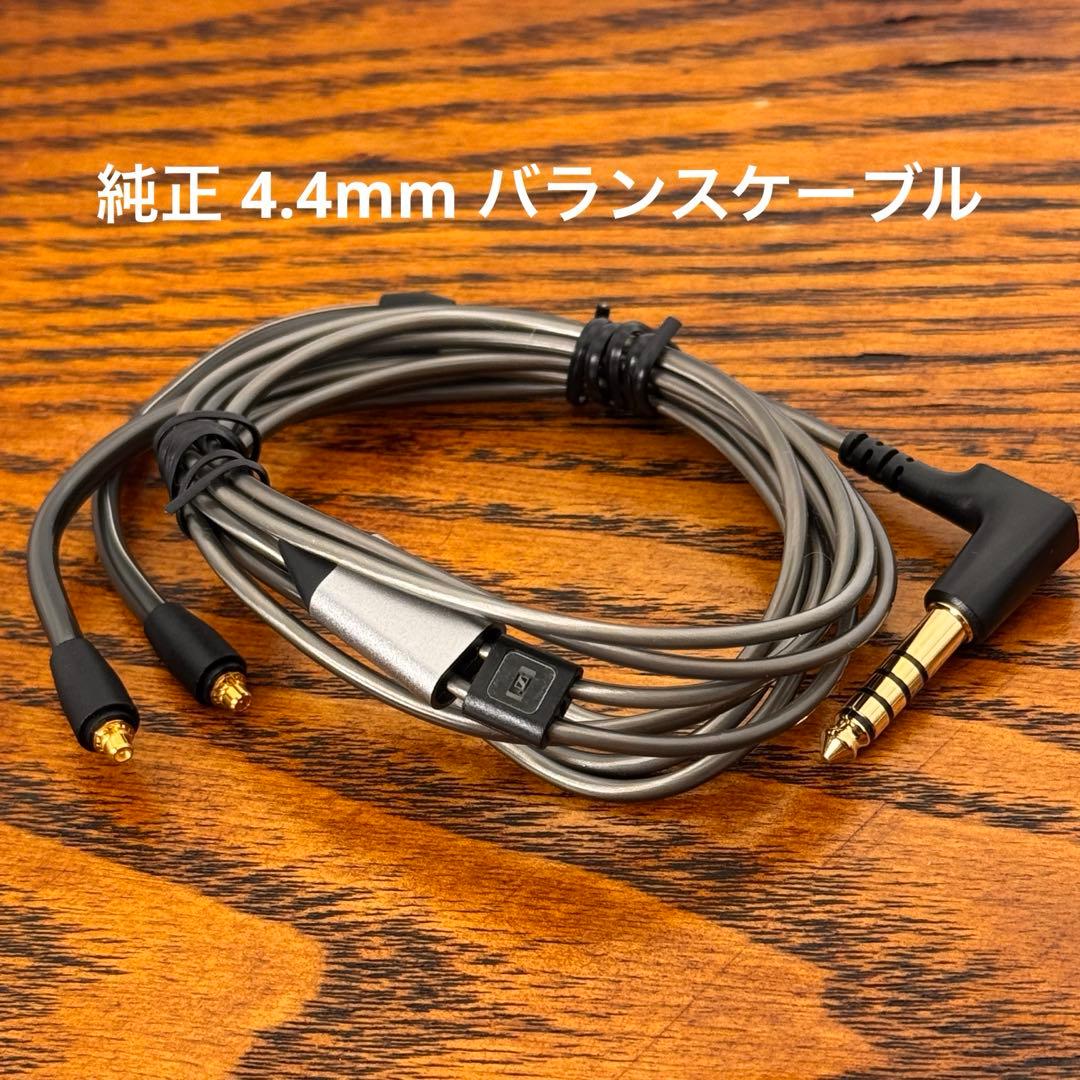 Sennheiser IE900 本体／専用ケース付き／高音質IEM