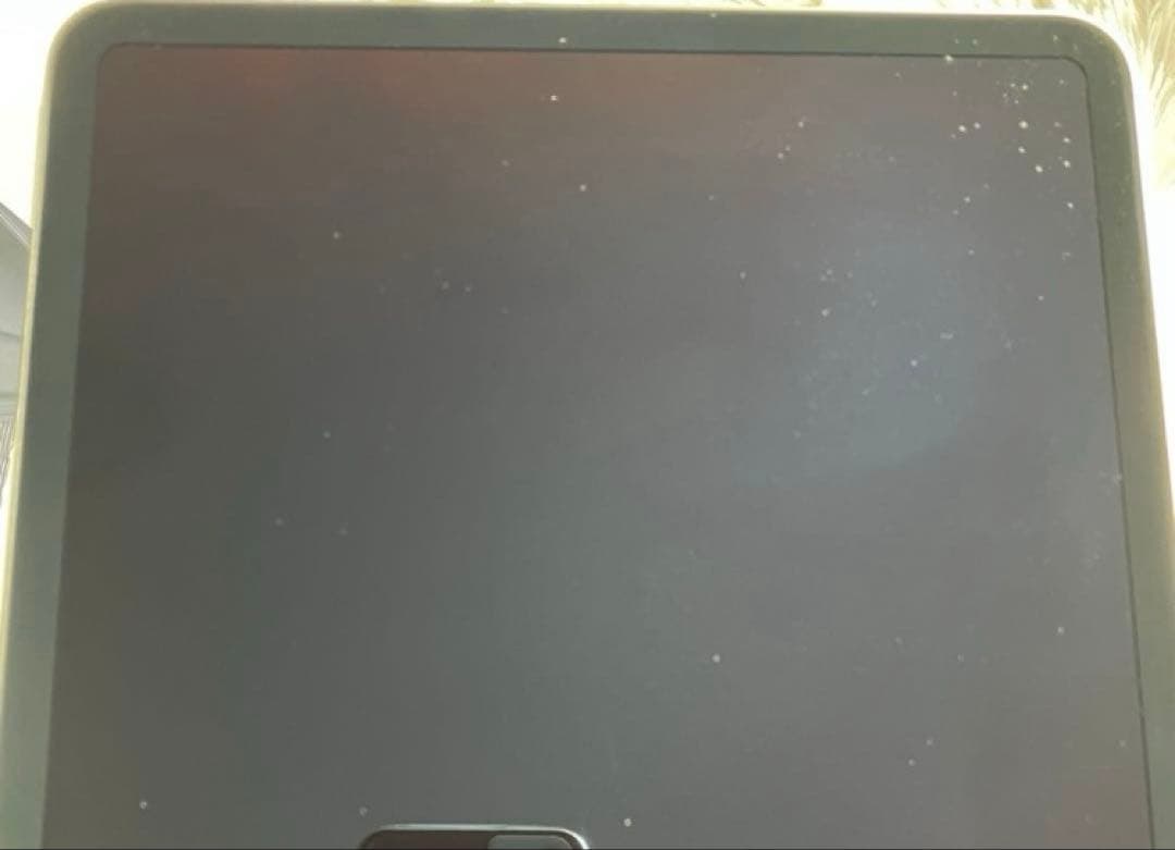 【1/25販売終了】iPad Pro 11 第3世代 256GB 【すぐ発送】