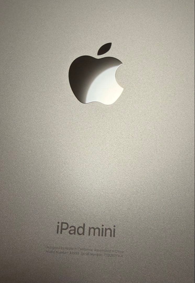 iPad本体 ipadminiA17pro256GB(wifi)+ApplePencilPro