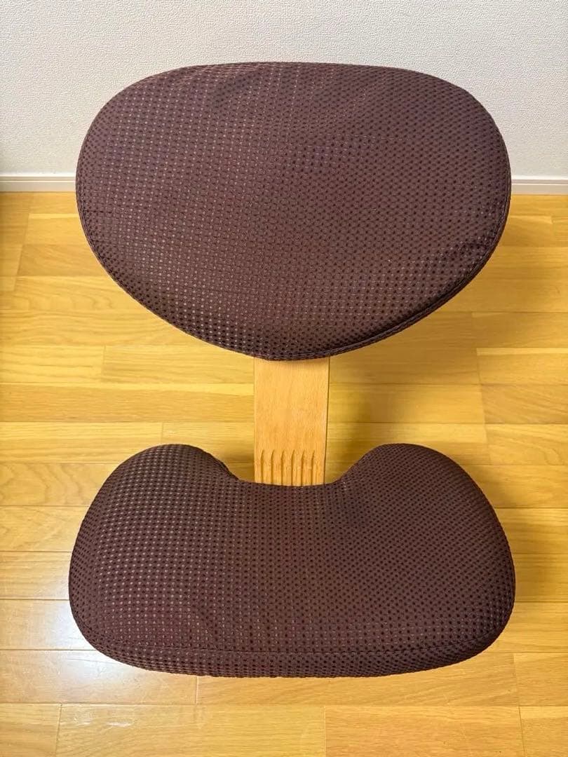 Rybo社 リボ社　［専用カバー付]　バランスチェア イージー