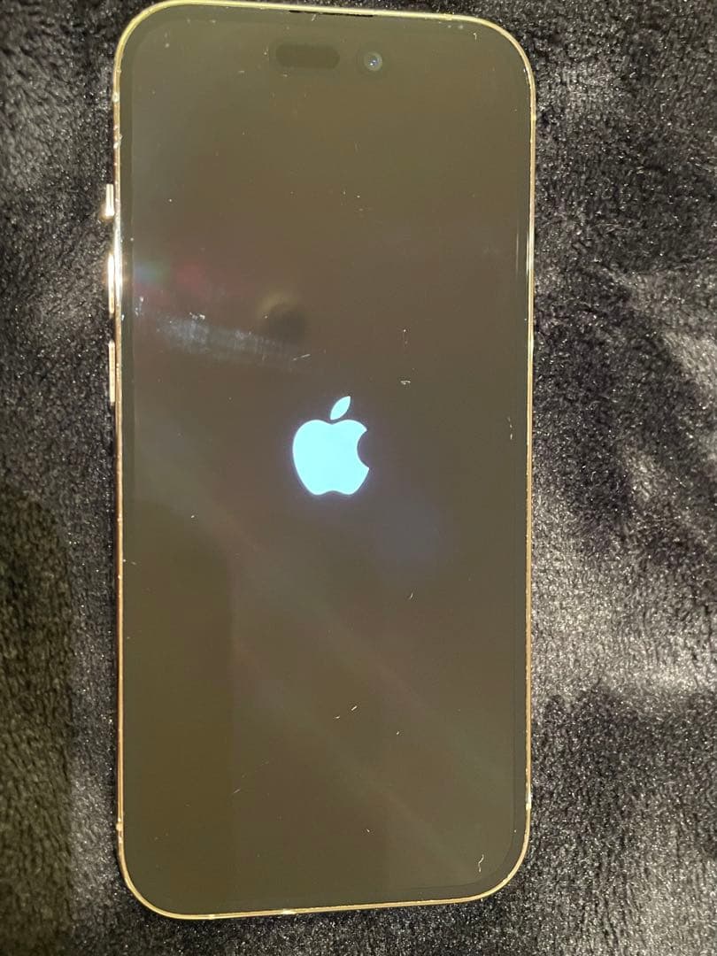 Apple iPhone 14Pro シルバー本体　SIMフリー