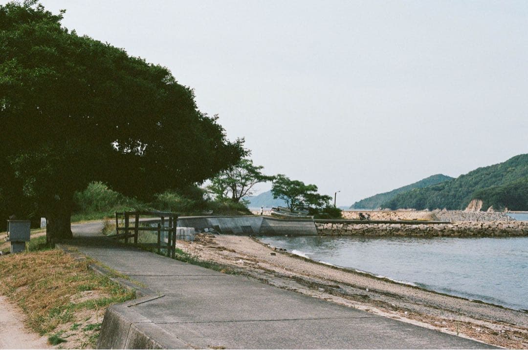 Nikon F80S + MB-16 バッテリーグリップ おまけあり 作例あり