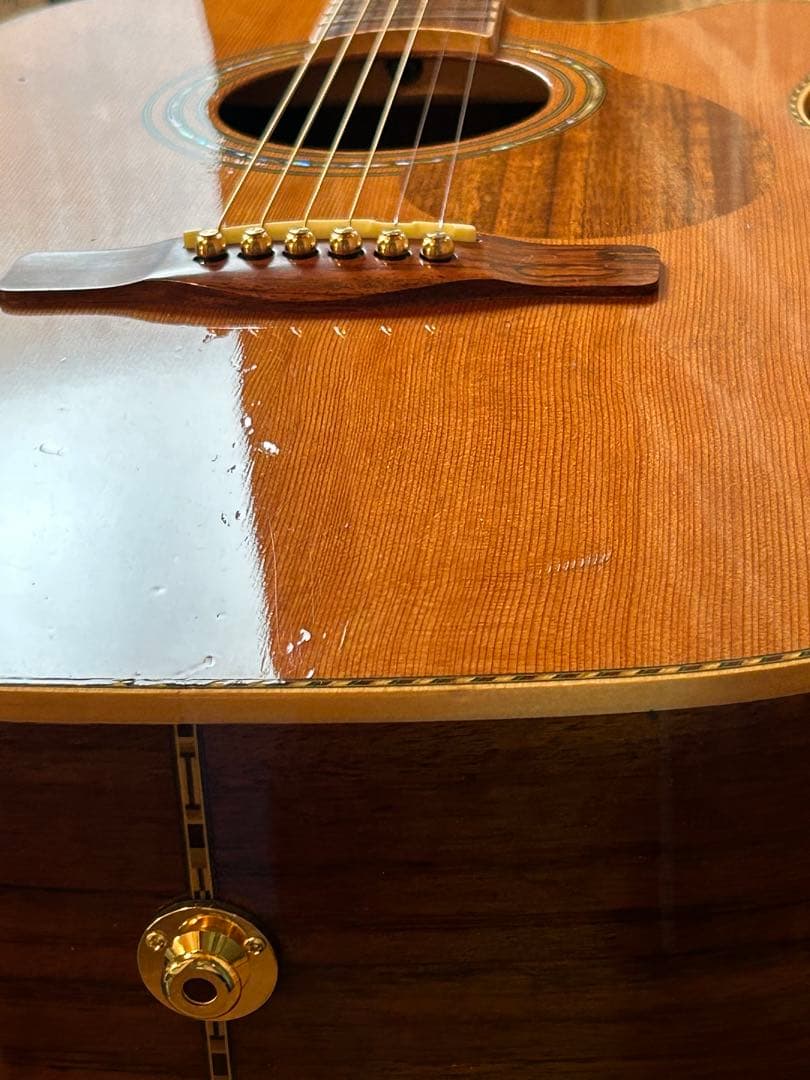 GREG BENNETT design SAMICHエレアコ(OM-15CE)