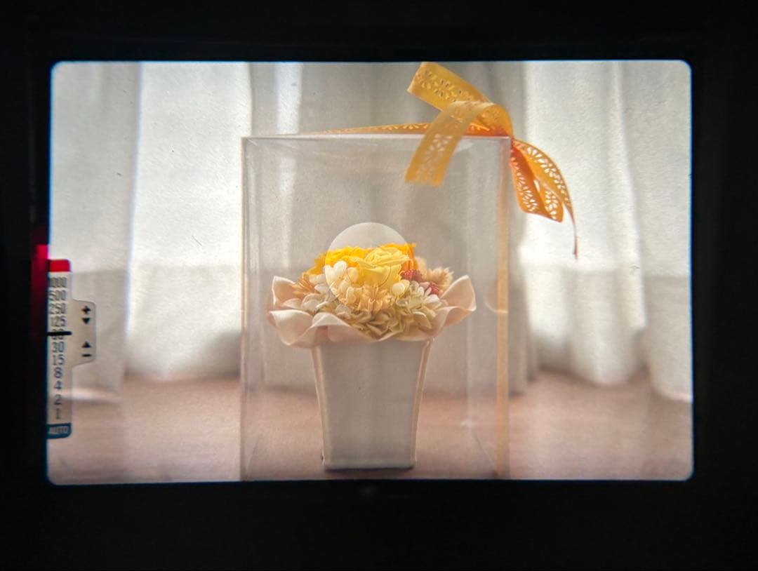 ★ OLYMPUS OM-2N BLACK + 標準レンズ 50mm