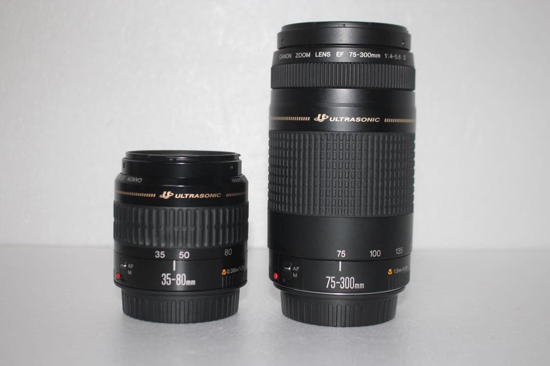 一眼レフカメラ/Canon EOS 90D標準&望遠ダブルレンズセット